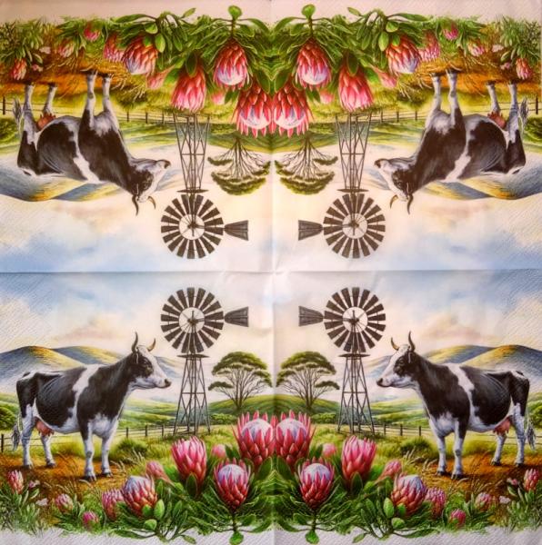 905 Cows - 3-ply - Specials